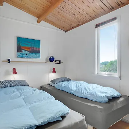 Pet Friendly In With Wifi Holiday home Thisted